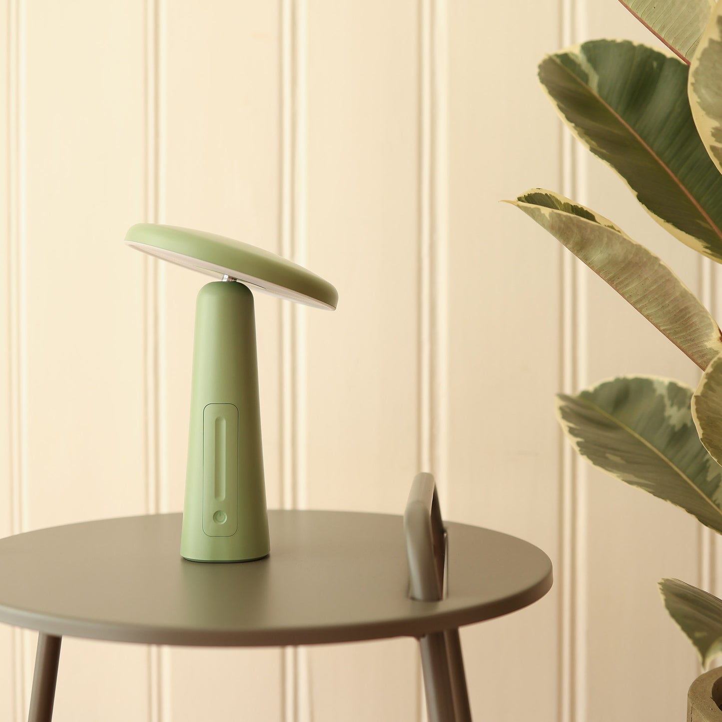 Salema Lampe