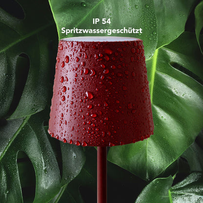 Truc LED Leuchte