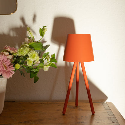 Vigo LED Leuchte